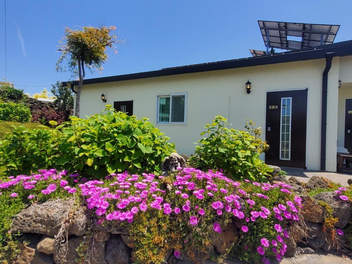 Hanihaus Sinchon-Ri Jeju Bagian luar foto